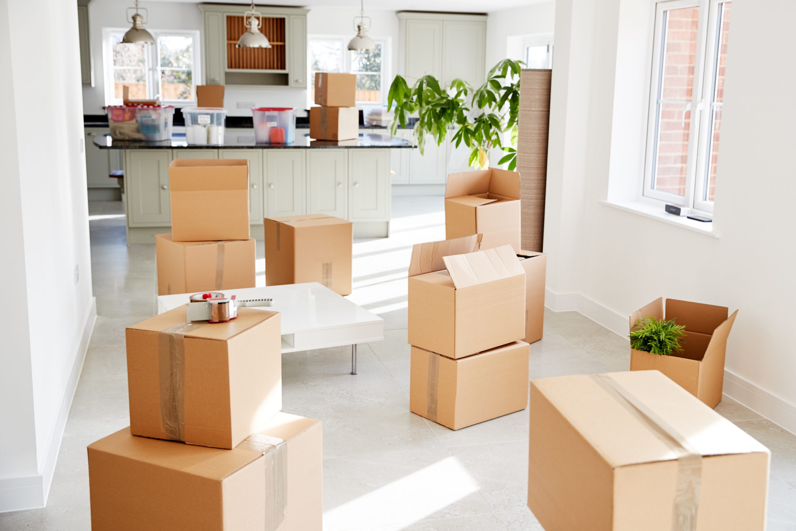 Fantastic Movers Colorado: The Trusted Name for Full-Service Relocations