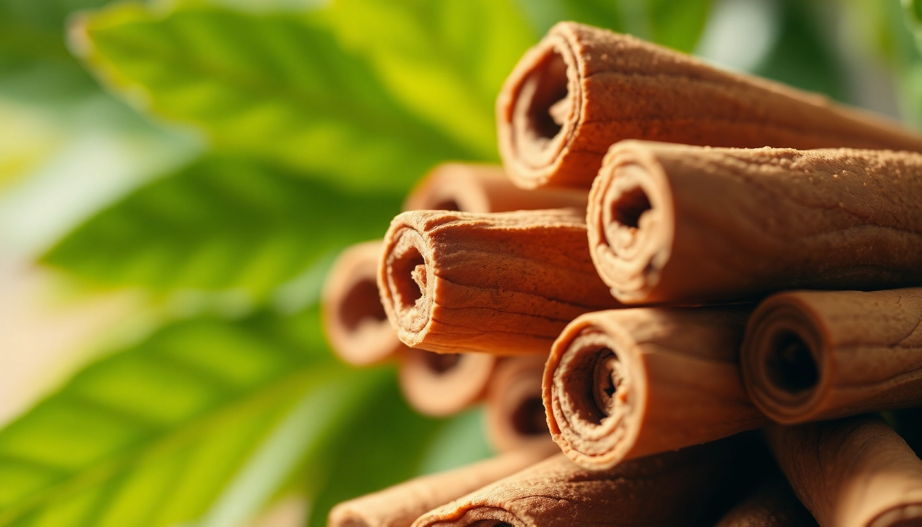 Health Benefits and Culinary Uses of Cinnamon Bark